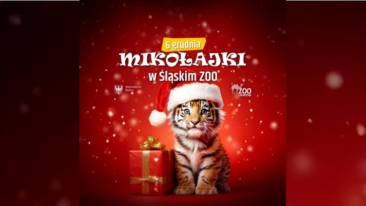 Slaskie zoo mikolajki