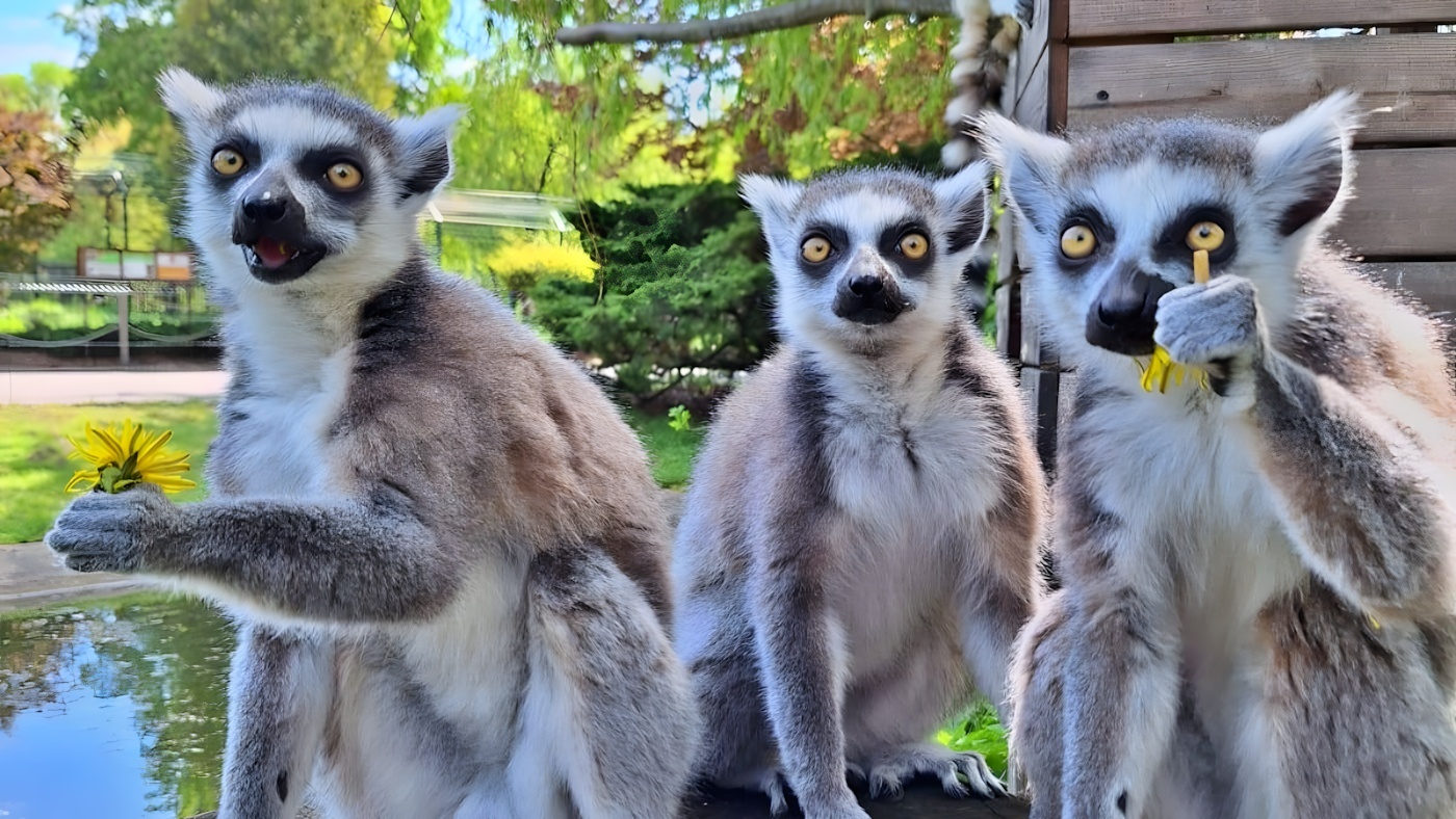 Zmiany w śląskim zoo. Nowe ceny i godziny otwarcia